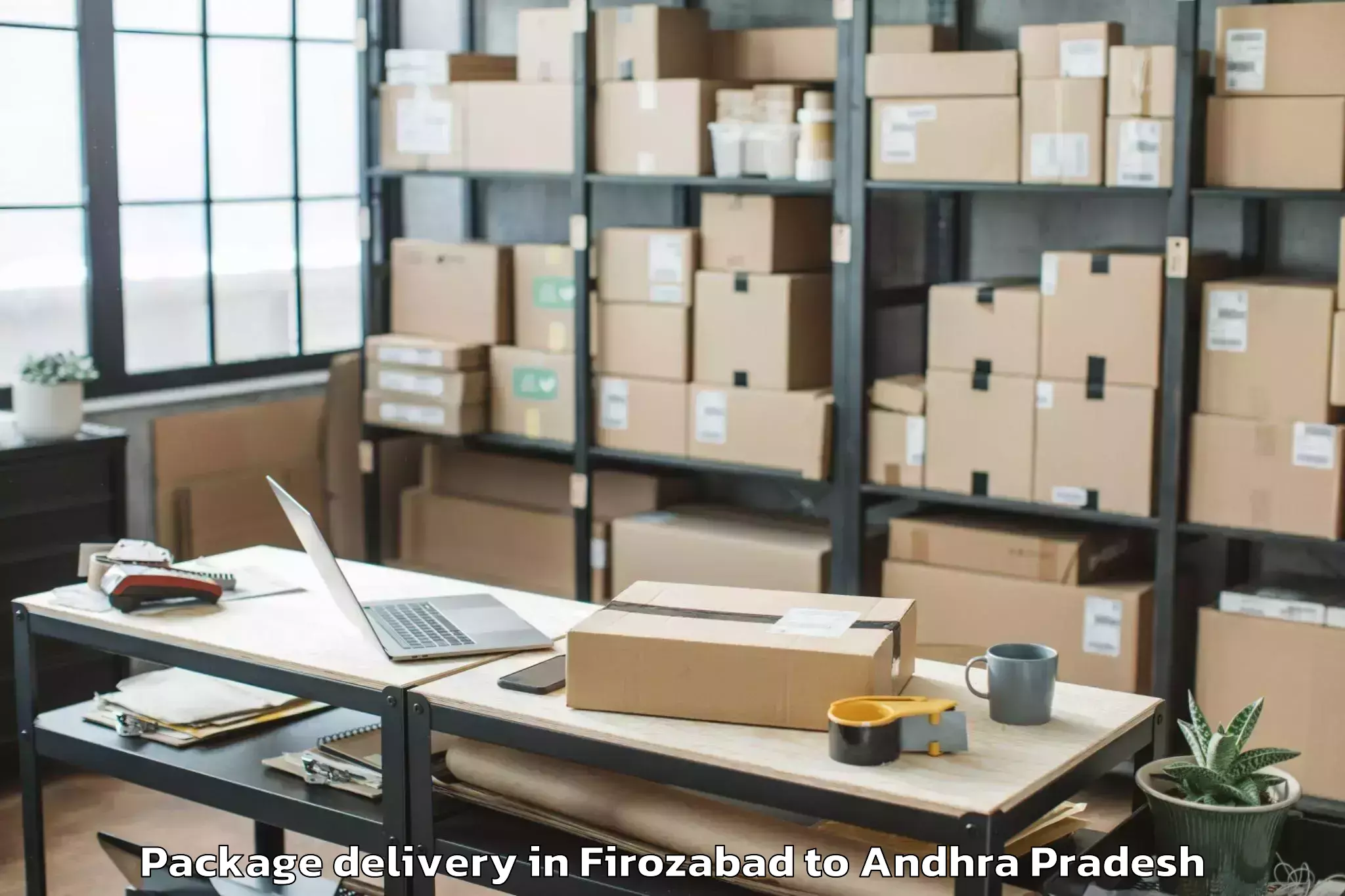 Trusted Firozabad to Peddapuram Package Delivery